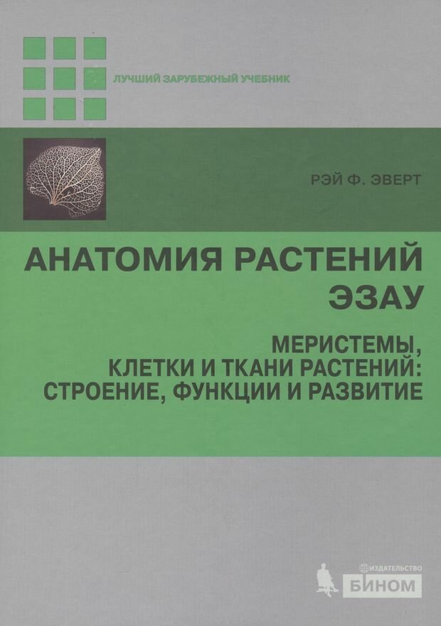 Анатомия растуний Эзау. Меристемы, клетки и ткани растенний: строение, функции и развитие - фото №6