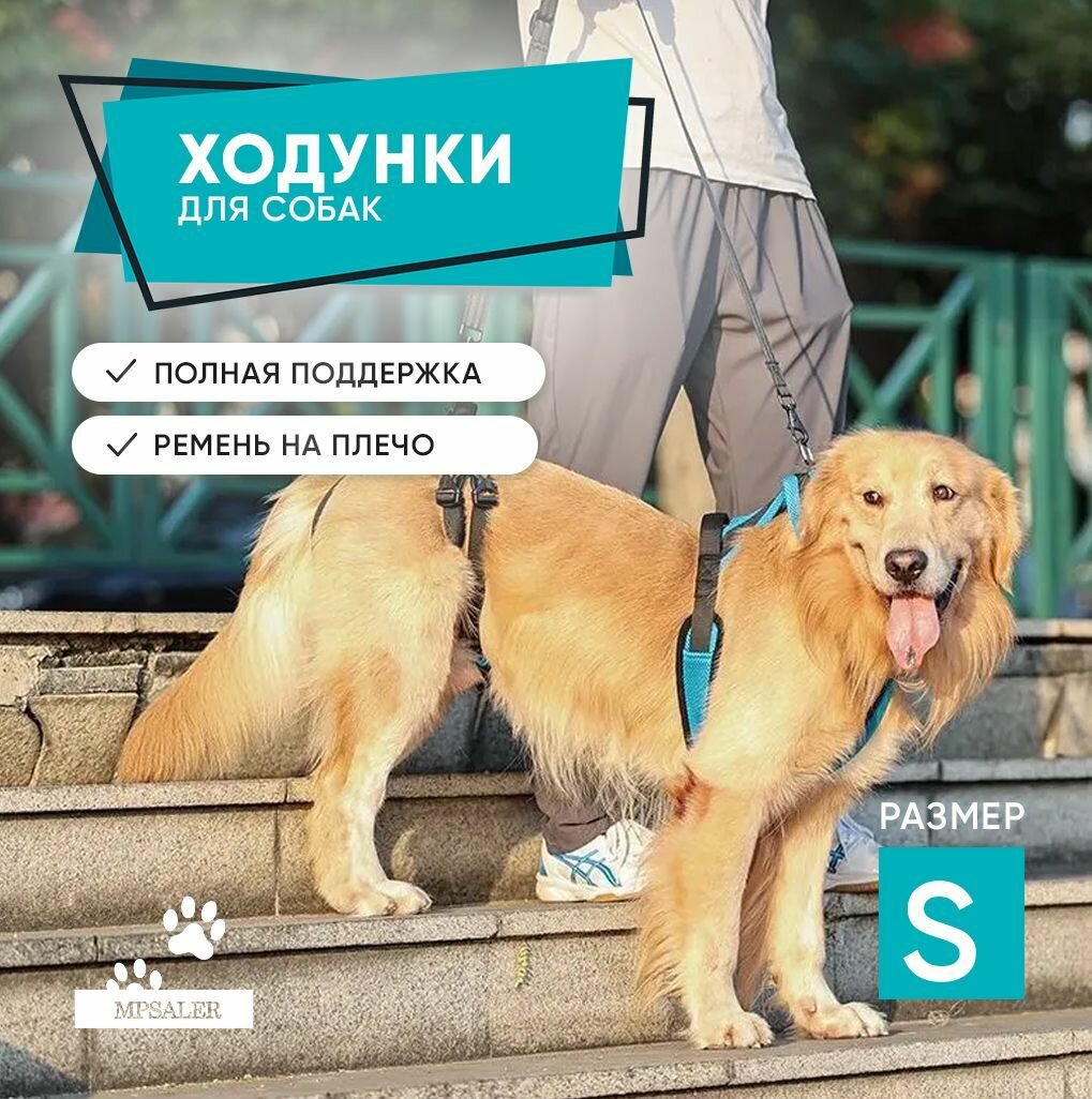Ходунки для собак, пожилых и травмированных. Размер S.