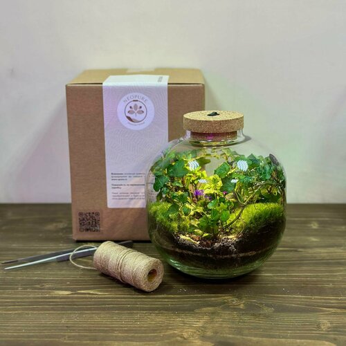 Экосистема с подсветкой - 