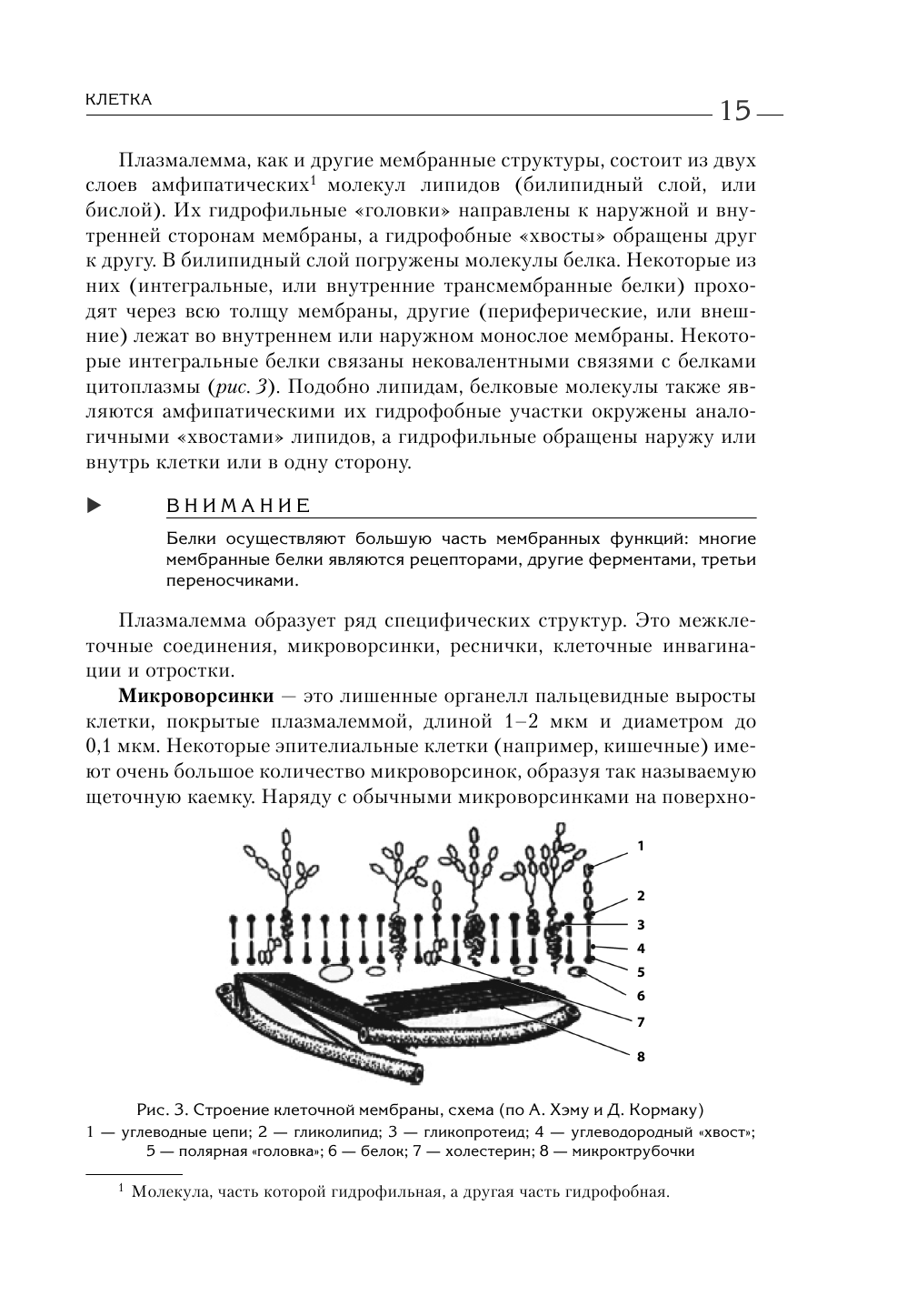 Атлас. Анатомия и физиология человека. Полное практическое пособие - фото №14