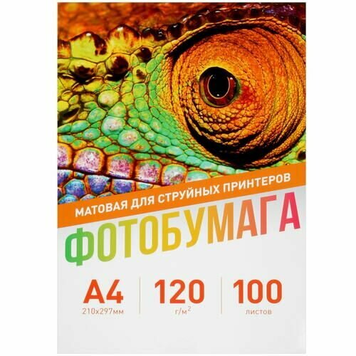 Фотобумага Aceline Matte 0805580 A4 120 гм 100 л покрытие - матовое 5760 dpi 1014₽
