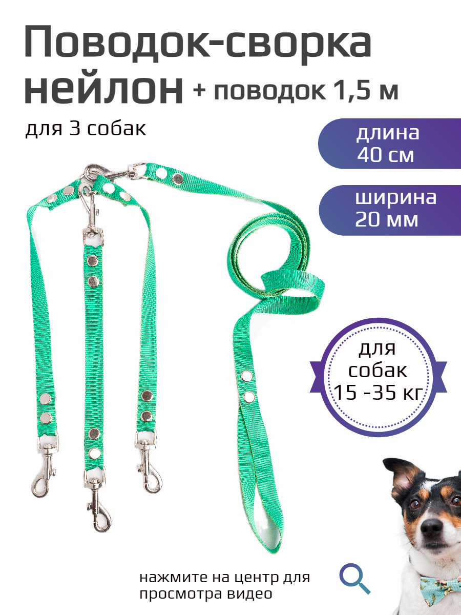 Поводок 1,5 м + сворка для двух собак средних пород нейлон 40 см х 20 мм (бирюзовый)