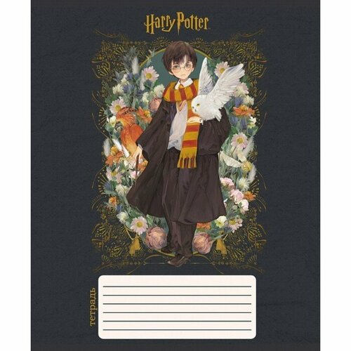 Тетрадь 12 листов в клетку Гарри Поттер, обложка мелованный картон, блок офсет 65, 5 видов микс(10 шт.)