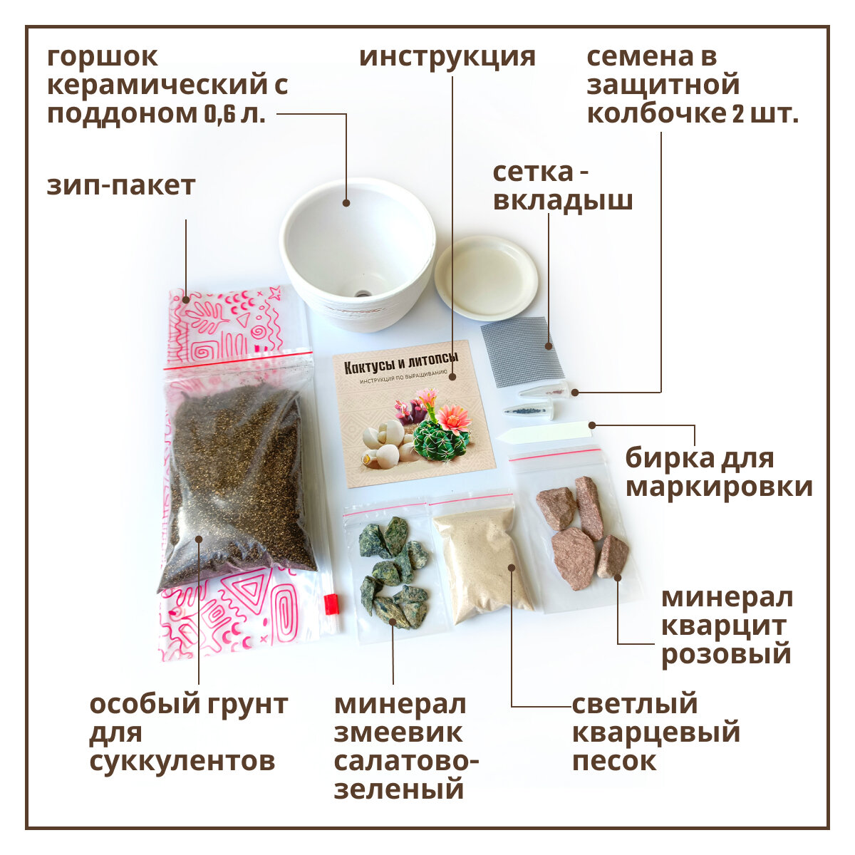 Набор для выращивания растений Кактусы и Литопсы живые камни — фото 1
