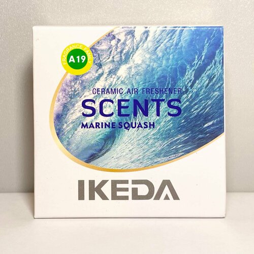 Ароматизатор для автомобиля запах Морской