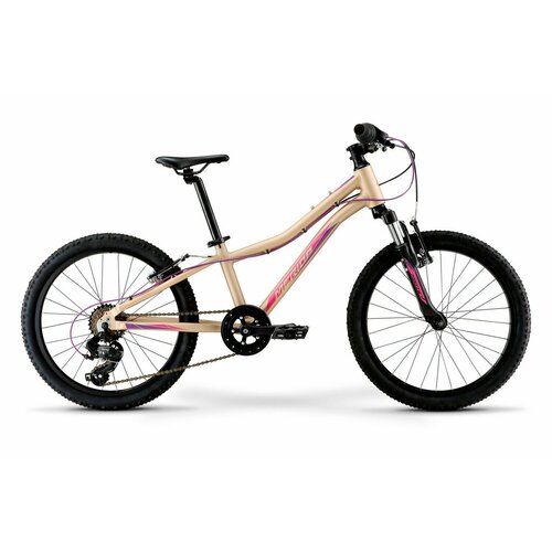 Детский велосипед Merida Matts J.20 Eco, год 2022, цвет Серебристый-Фиолетовый