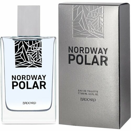 Мужская туалетная вода Brocard Nordway polar, 100 мл