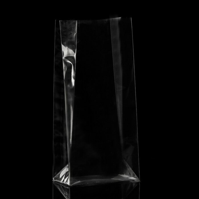 Пакет полипропиленовый фасовочный, прямоугольное дно, прозрачный, 9 х 5 х 19 см - фотография № 1
