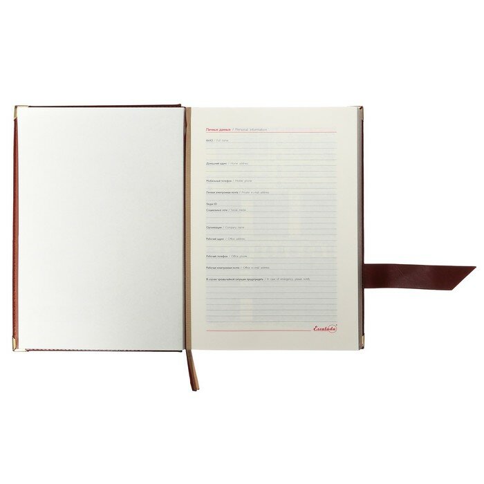 Ежедневник полудатированный Сариф, коричневый, А5+, 192 листа Феникс+ - фото №9