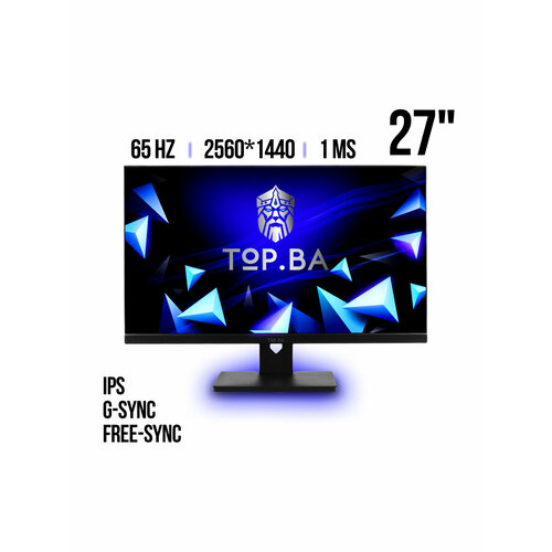Монитор 27 IPS 25601440 60 Гц G-Sync QHD черный 1749000₽