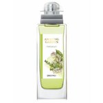 BROCARD Amazing Garden Herbarium туалетная вода 50 ml. - изображение