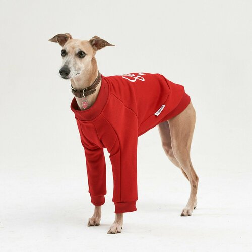 Толстовка для собак, новогодний костюм Santa's Helper размер S36