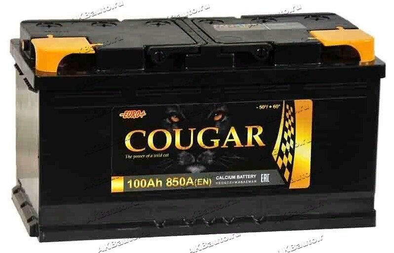 Аккумулятор автомобильный Cougar Power 100 А/ч 850 A обр. пол. Евро авто (353x175x190)