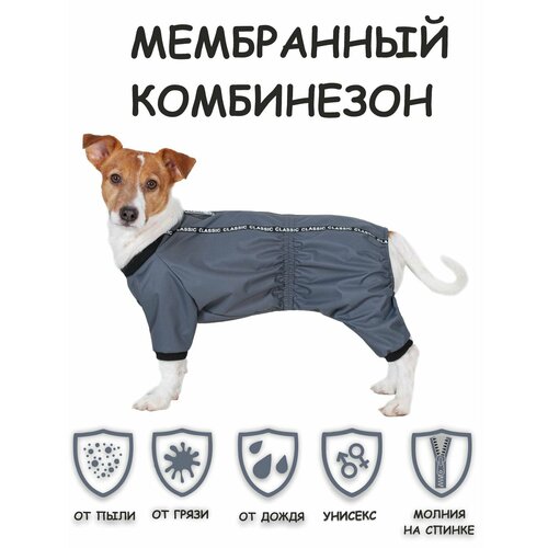 Новинка! Дождевик для собак DOGMODA Мартин (серый) унисекс р. 3, 28см