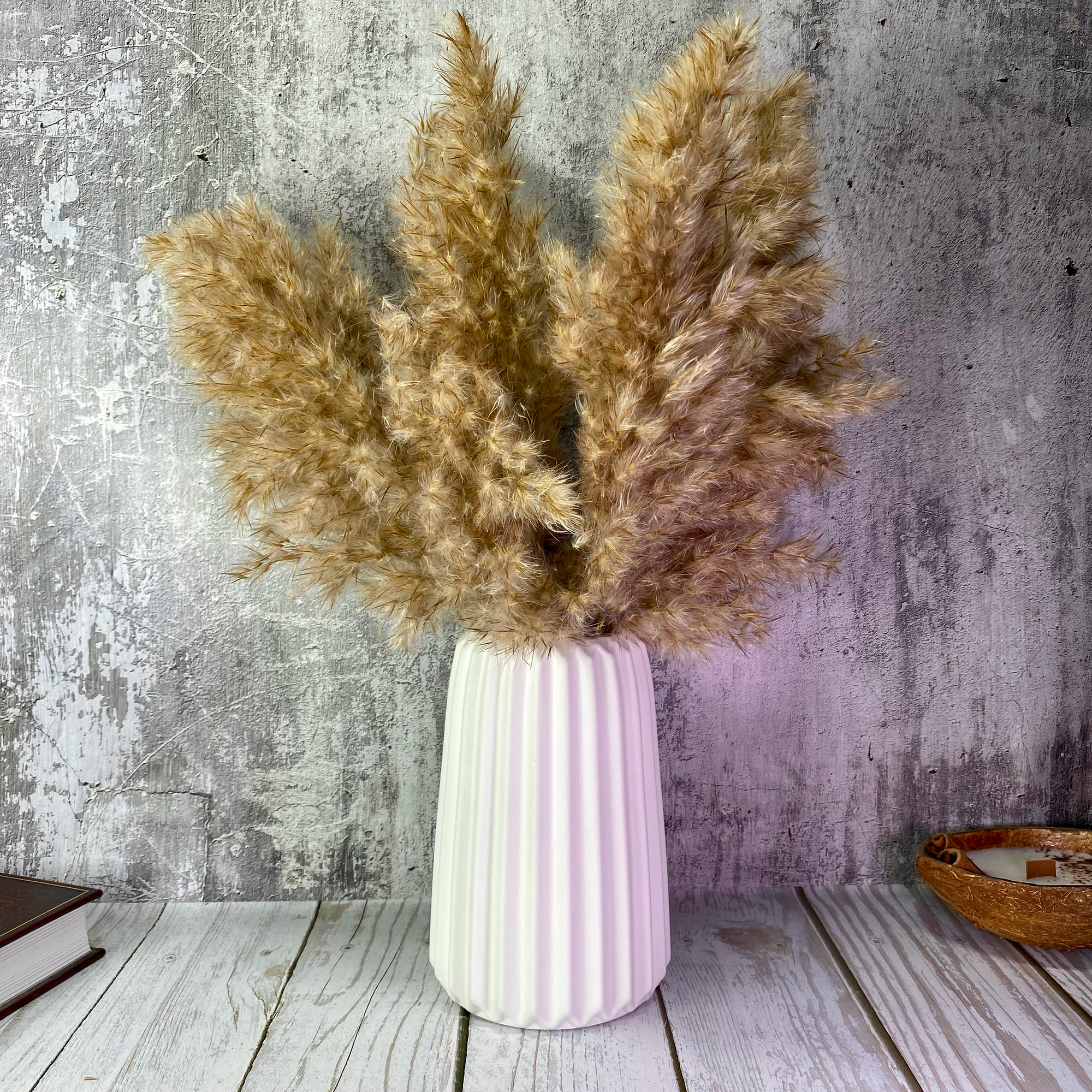 фото Мечтательница