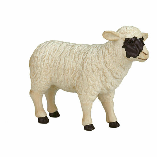 шотландская черноголовая овца KONIK Шотландская черноголовая овца AMF1019