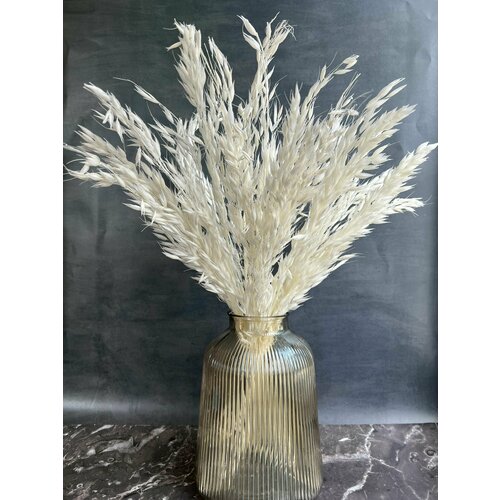 Овес Сухоцвет белый