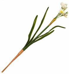 Цветок искусственный декоративный Нарцисс, 40 см, белый, Y4-7954