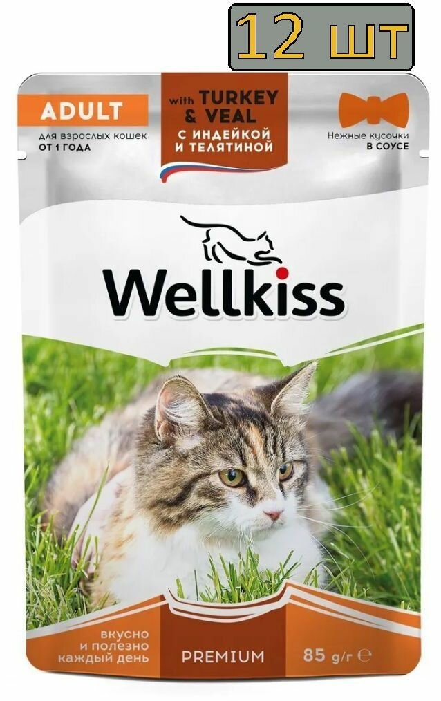 12 штук Wellkiss Adult Влажный корм (пауч) для взрослых кошек, с индейкой и телятиной в соусе, 85 гр.