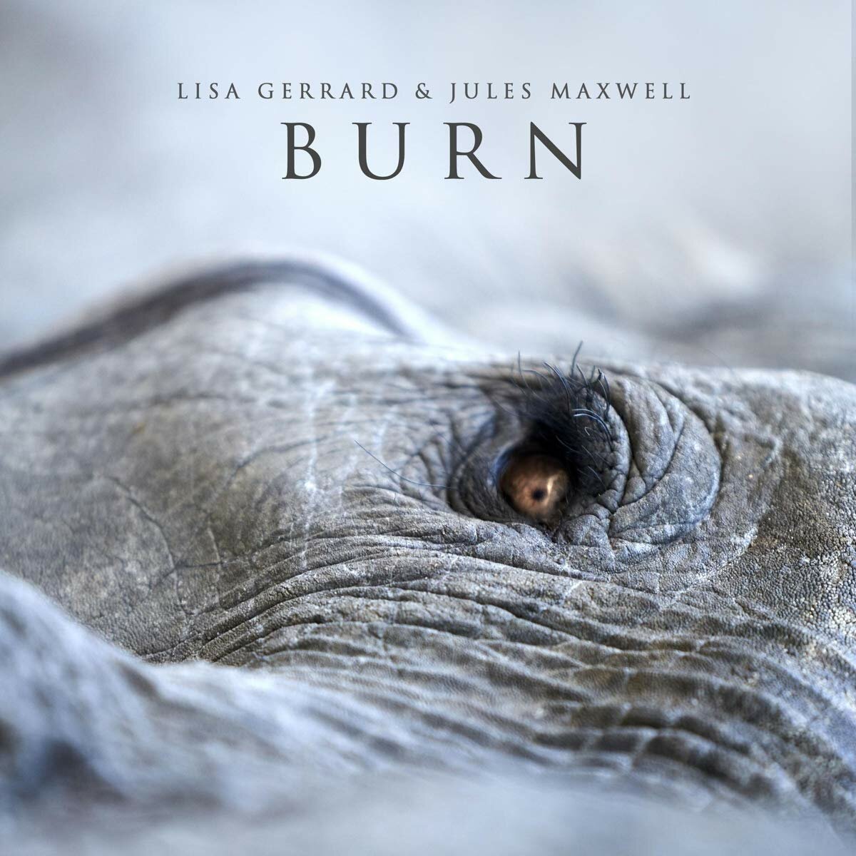 Виниловая пластинка Gerrard, Lisa; Maxwell, Jules, Burn (coloured) (4260472170458) IAO - фото №1