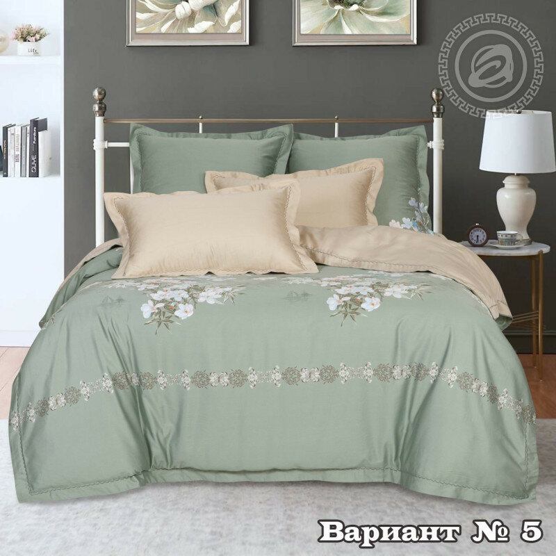 Постельное белье 2 сп/европр. тенсел Джанет