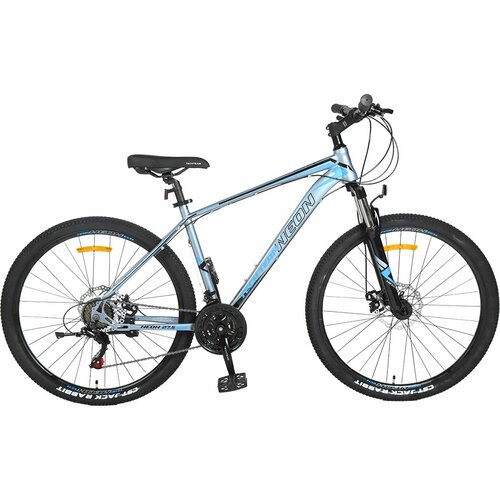 Велосипед TECH TEAM NEON 275х18 серый сталь NN004300 NN004300 3185000₽