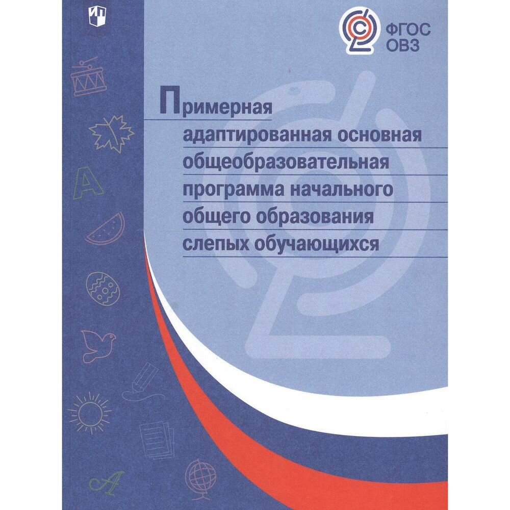 Примерная адаптированная основная общеобразовательная программа НОО для слепых обучающихся. ОВЗ - фото №2