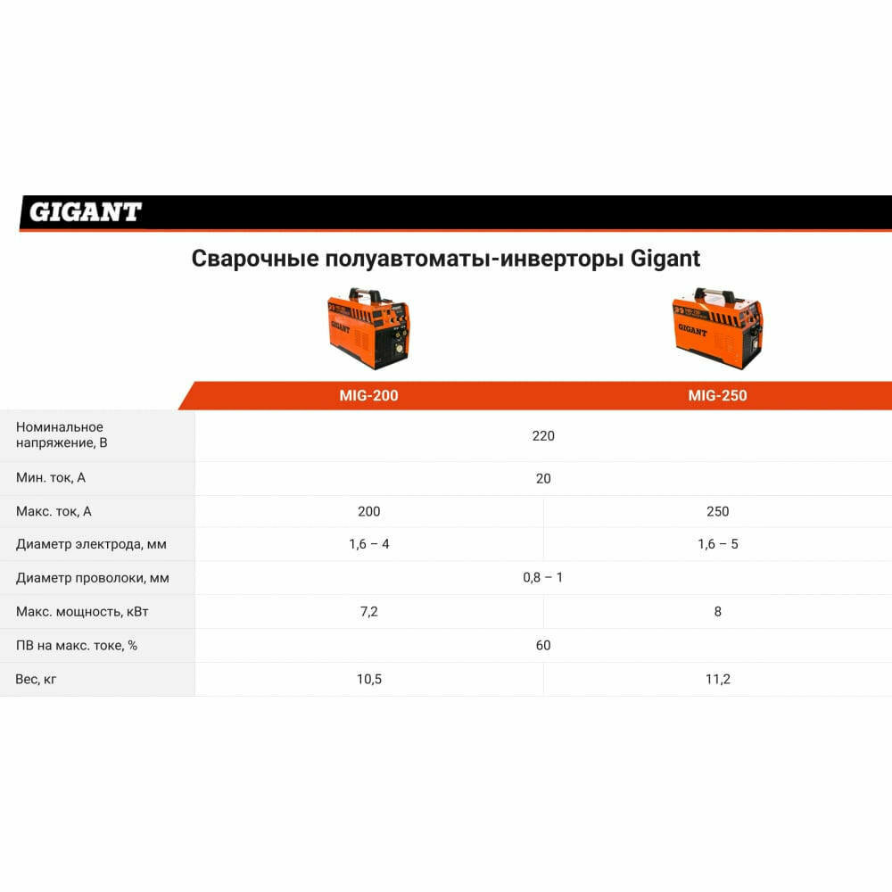 Gigant - фото №13