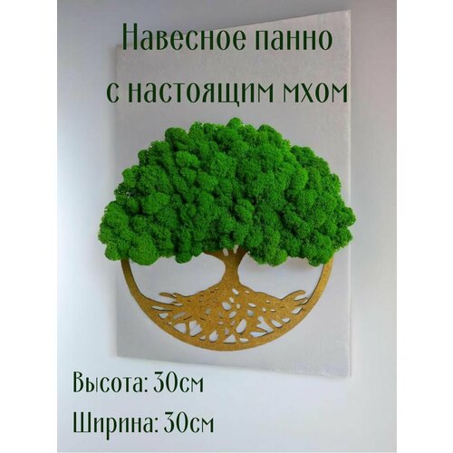 Панно стабилизированный мох для украшения интерьера дома