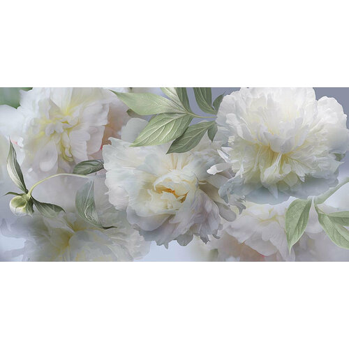 Фотообои Белые цветущие пионы 275x550 (ВхШ), бесшовные, флизелиновые, MasterFresok арт 13-336
