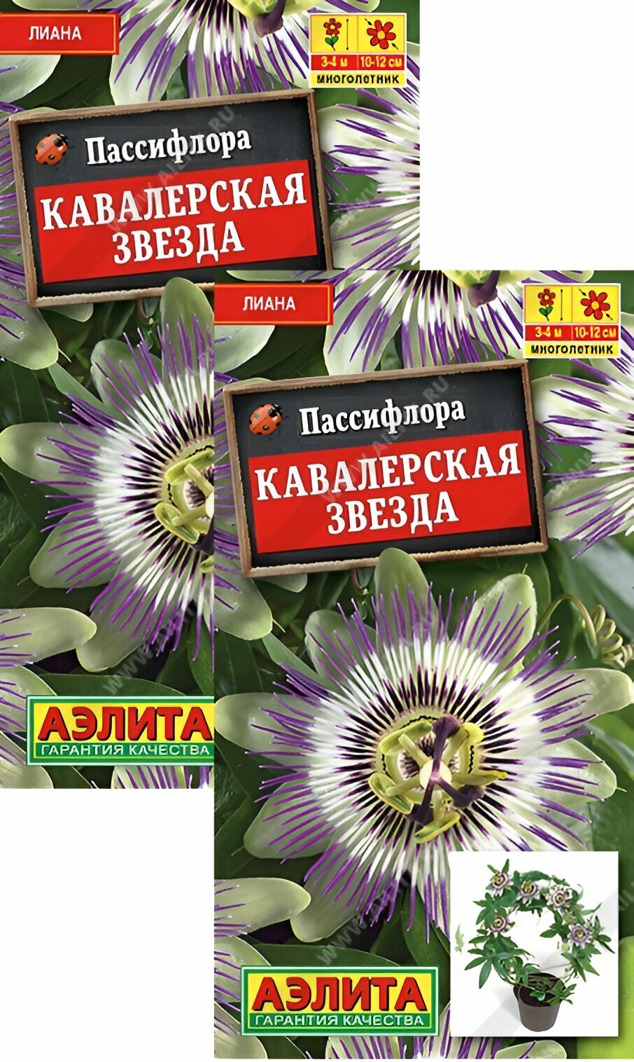 Пассифлора Кавалерская звезда (5 семян), 2 пакета