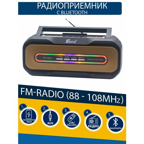 Радиоприемник EPE FP-100-S + солнечная батарея