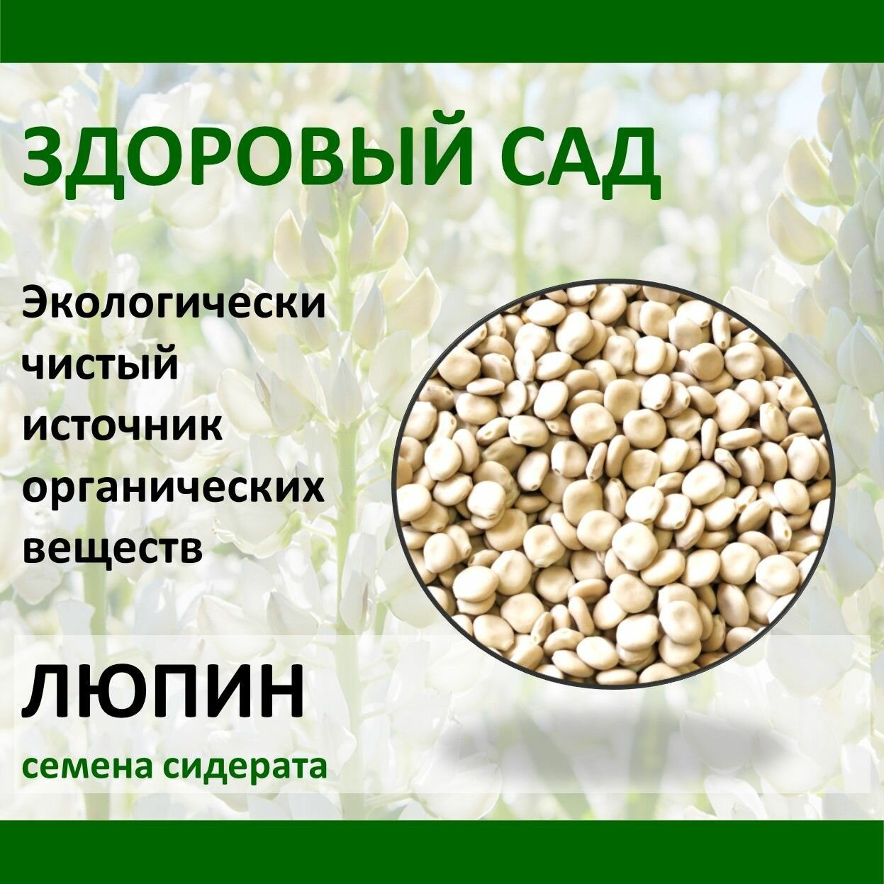 Семена сидерат Здоровый Сад Люпин белый 05 кг х 15 шт (75 кг)