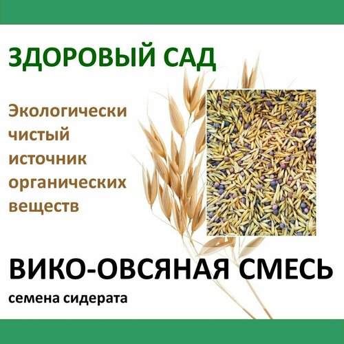 Семена сидерата Смесь вико-овсяная здоровый САД, 0,4 кг х 15 шт (6 кг) вико овсяная смесь вакуум фасовка 1кг