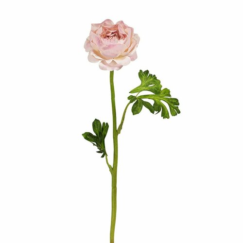 Искусственный цветок Fiebiger Floristik - Ранункулюс, бело-розовый, 46 см, 3 шт