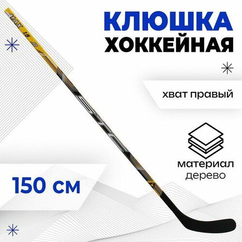 фото Клюшка хоккейная, юниорская, правый хват, цвета микс бренд цст