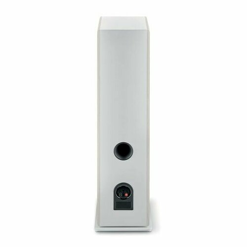 Focal Home Vestia N4 DARK WOOD напольная АС 29999000₽