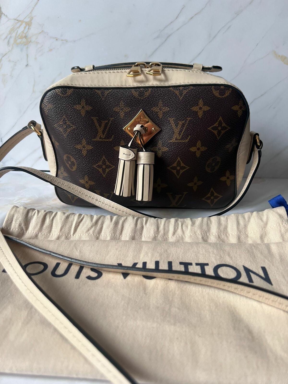 Сумка Louis Vuitton