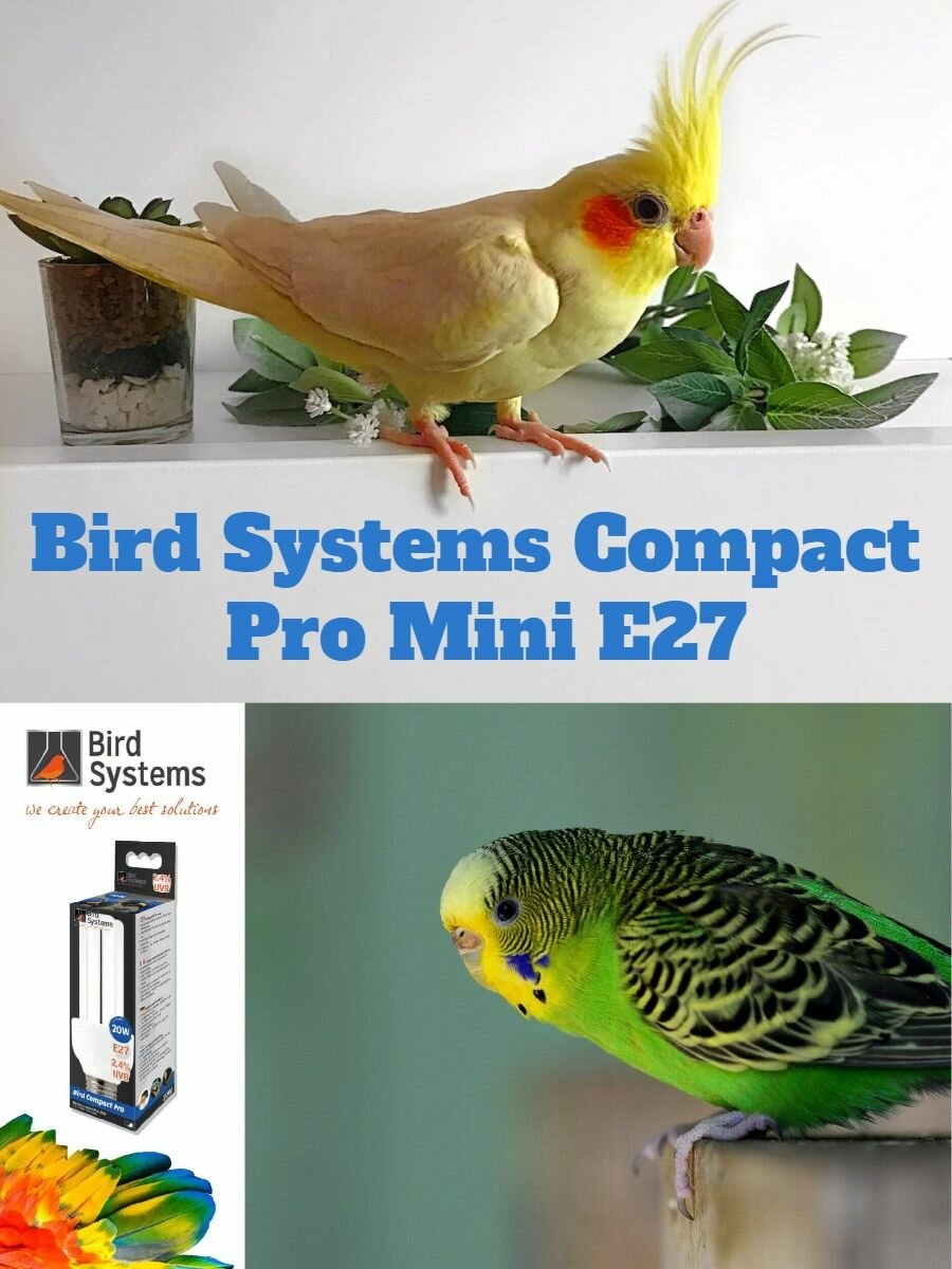 Лампа для попугаев и птиц Bird Systems Compact Pro Mini E27 - фотография № 6