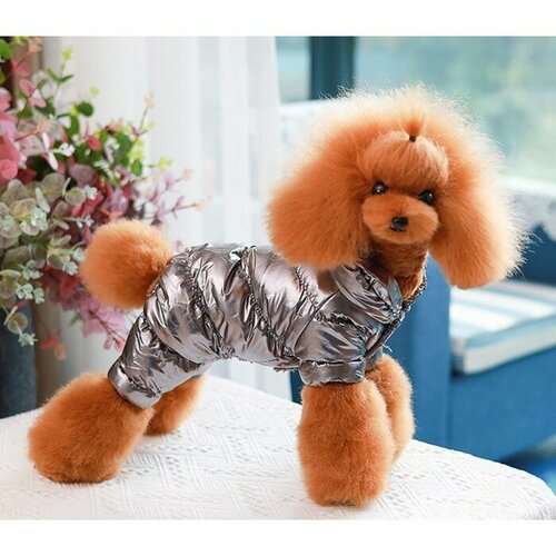 Комбинезон Блеск размер XL ДС 39 см ОГ 53 ОШ 35 см вес 14 кг серебряный 974876 2737₽