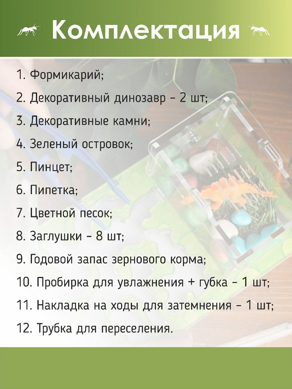 Муравьиная ферма Green 18х10х6 см Муравьи в подарок!