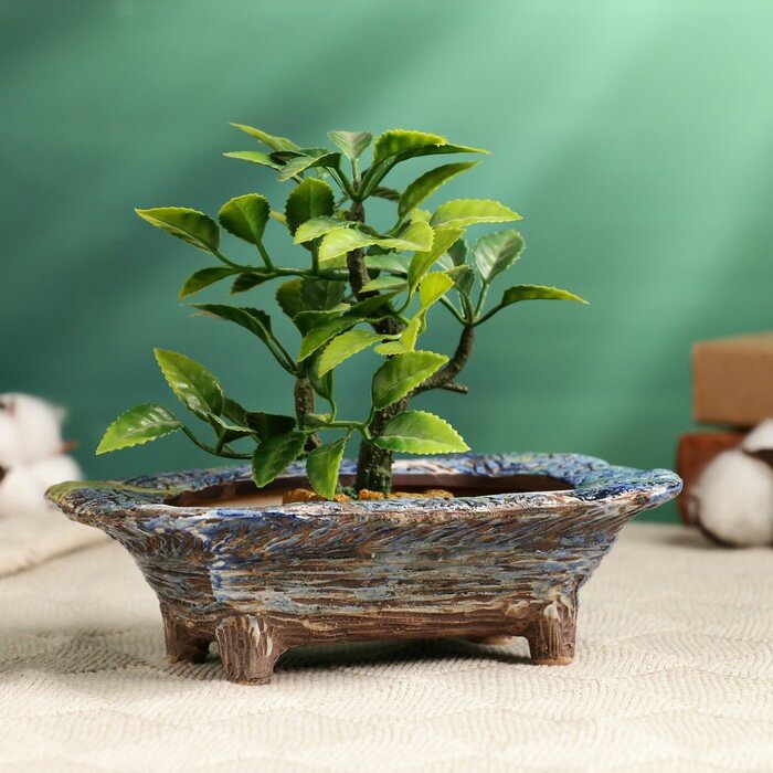 Декоративный горшок - бонсайница для кактусов и суккулентов 200 мл 16.5×11.5×5 см керамический