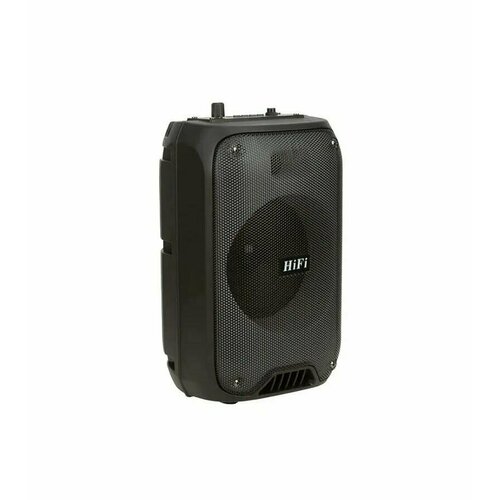 Портативная акустика Eltronic RX-6168 398300₽