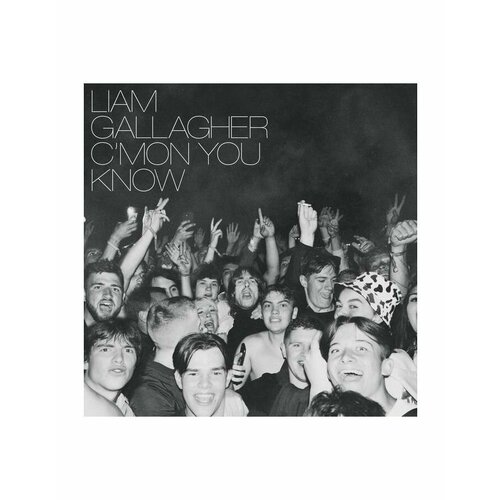 Виниловая Пластинка Gallagher, Liam, C’Mon You Know (0190296396861)