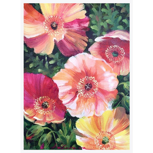 Разноцветные маки, май 2023 (без рамы)