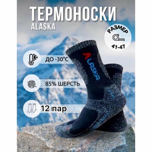 Термоноски  унисекс Alaska, 12 пар, размер 41/47, черный, синий