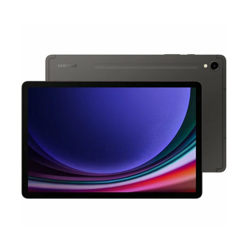 Планшет Samsung Galaxy Tab S9 SM-X710 12256 Wi Fi Graphite 8997900₽
