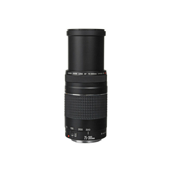 Объектив Canon EF 75-300mm f/4-5.6 III USM — фото 13