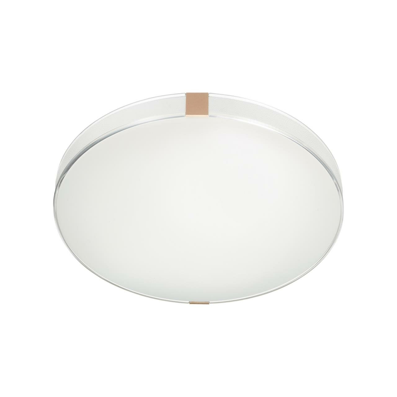 Настенно-потолочный светильник Sonex Otiga white 7676/DL - фотография № 2