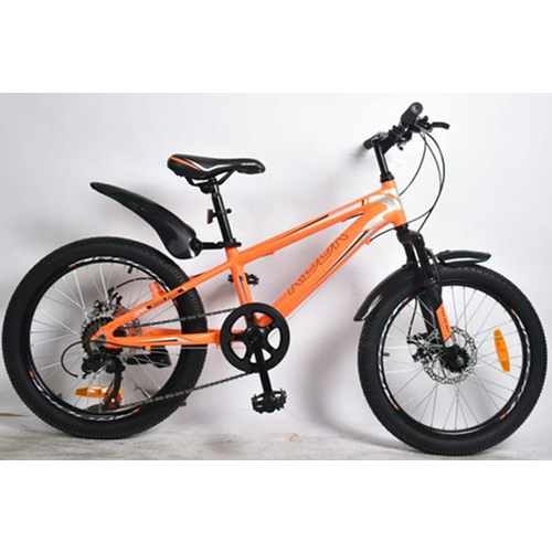 Rook 20 MA200D оранжевыйсерый 2290200₽